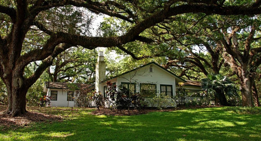 Flamingo Gardens, United States